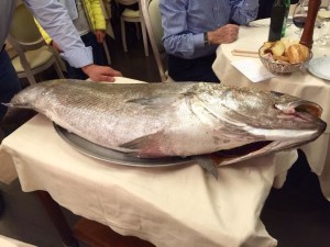 il pesce, fresco e grosso 